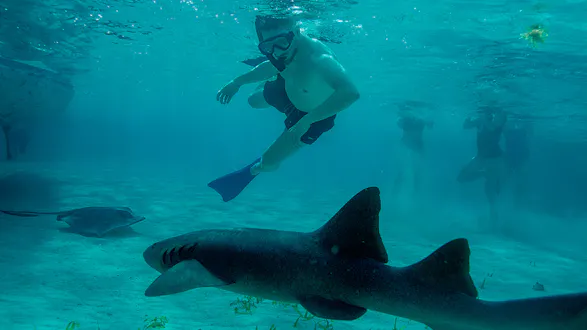 Classic Belize & Tikal (9 days, 8 nights)