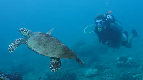 Scuba Training: PADI Advanced Open Water