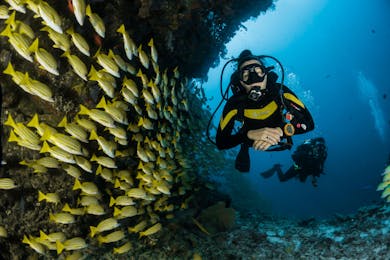 PADI Open Water Certification