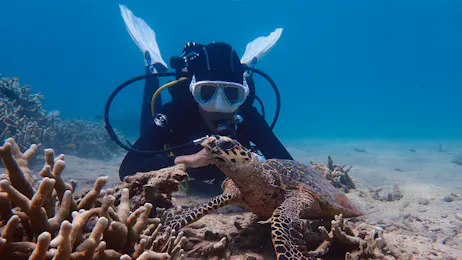 Scuba Training: PADI Open Water Diver