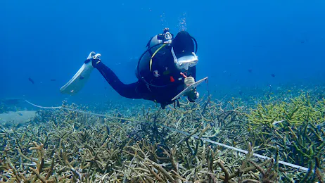 Scuba Training: Research Dive Package