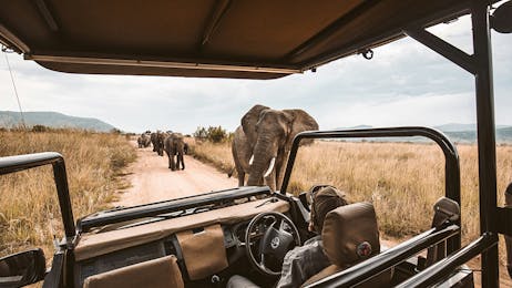 5 day, 4 night Safari to Lake Manyara, Tarangire national park, Serengeti National Park and Ngorongoro Crater. 