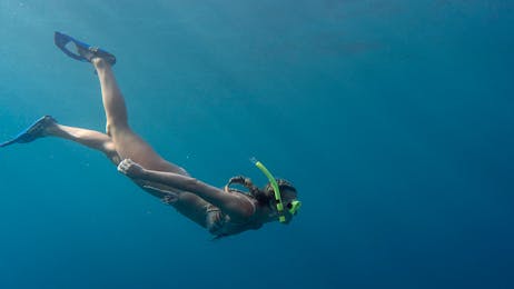 Snorkel Tour By Boat 