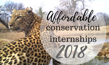 Affordable Conservation Internships Abroad | Intern Abroad HQ