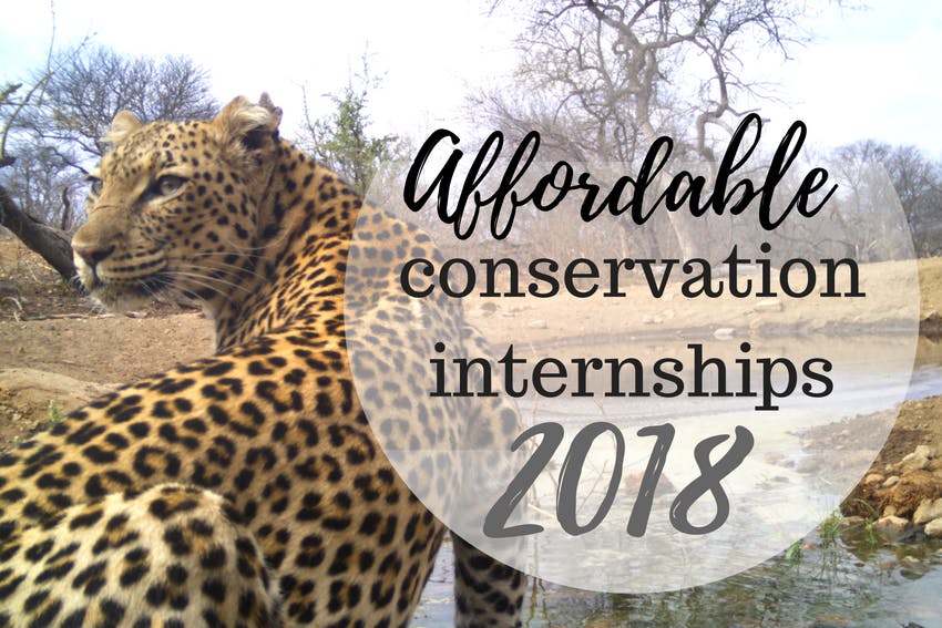 Affordable Conservation Internships