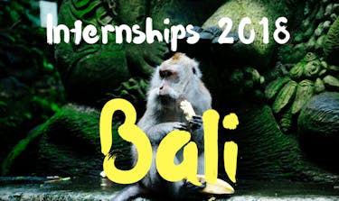 Internships in Bali