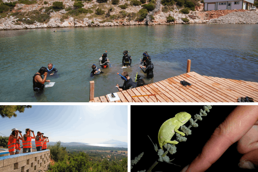 Conservation internship programs in Greece - Intern Abroad HQ