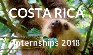 Internships in Costa Rica - What You Need to Know