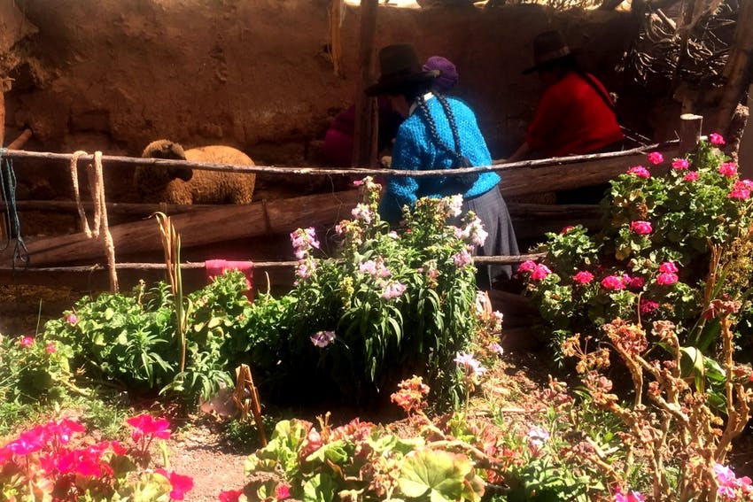 NGO Support Internships in Peru Cusco