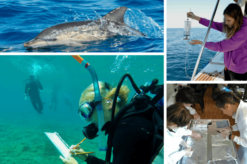 Internships abroad for college students