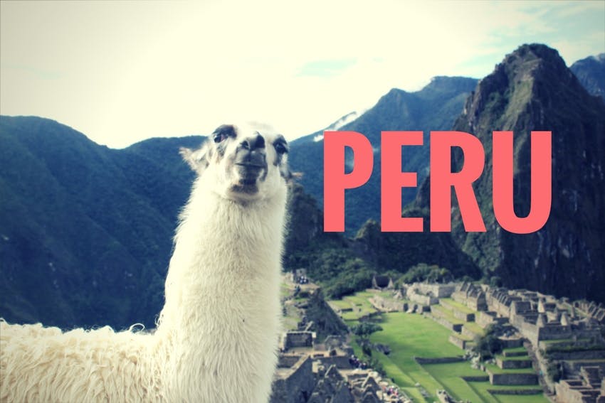 Gap Year Internships in Peru