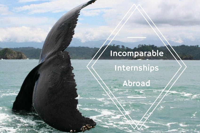 Affordable internship opportunities abroad