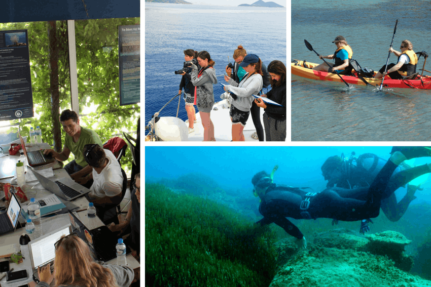 Internships abroad for college students