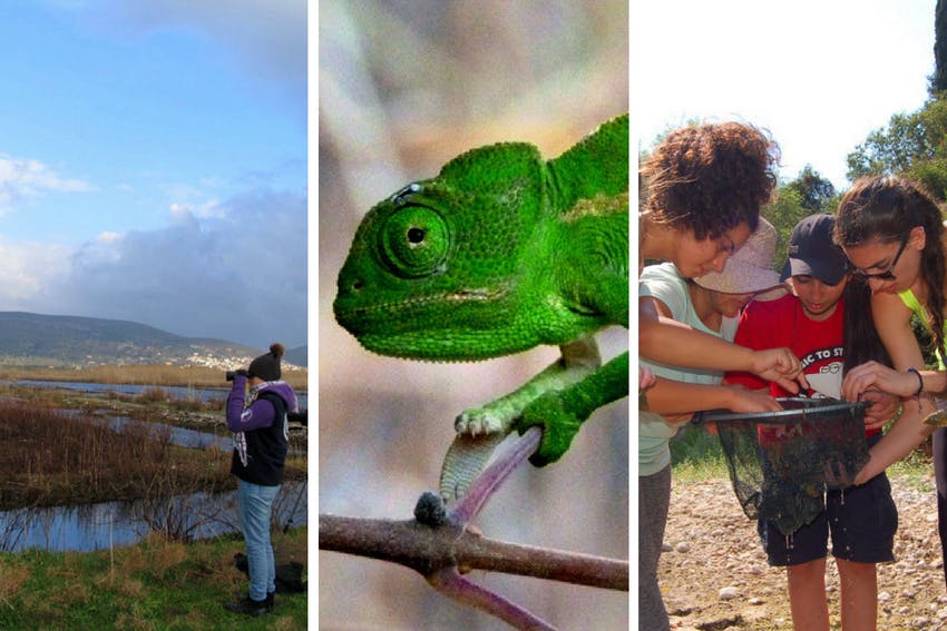 Terrestrial Conservation internship in Greece