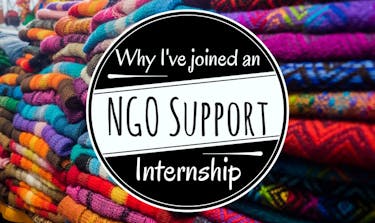 Why I've joined an NGO Support Internship