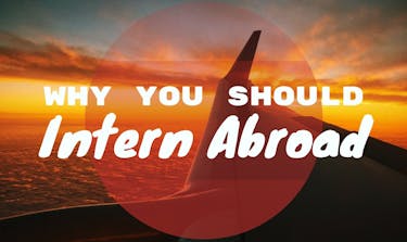 Why you should intern abroad
