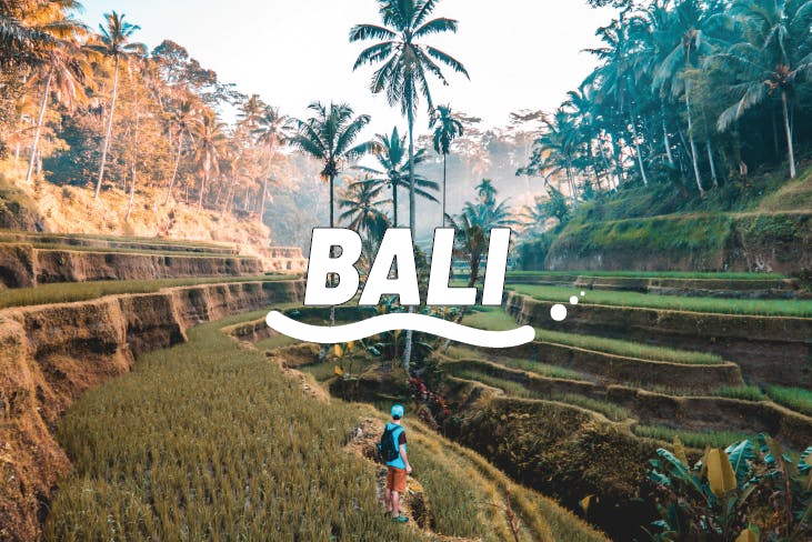 Affordable Internships Abroad