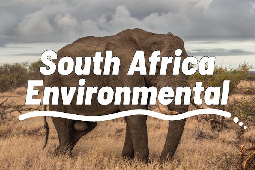 Affordable Internships Abroad