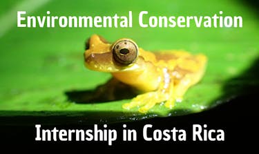 Environmental Conservation Internship in Costa Rica