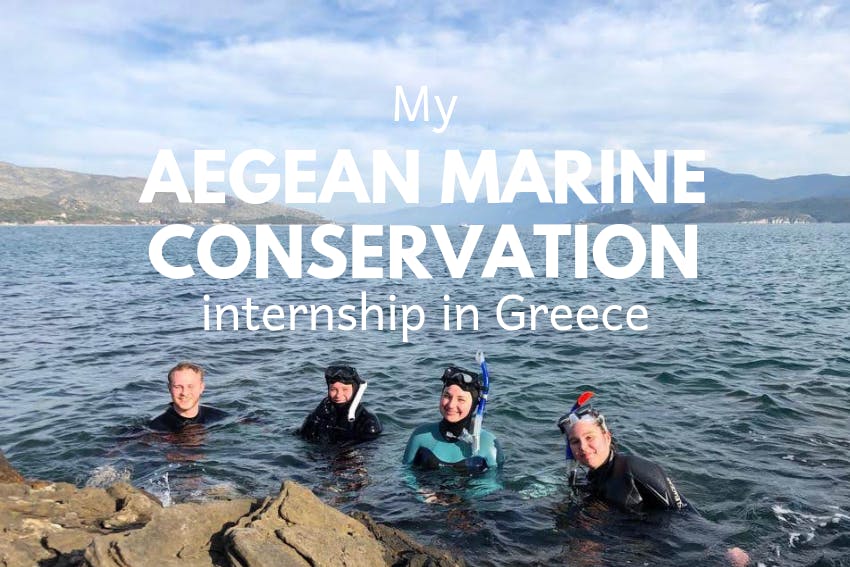 My Aegean Marine Conservation internship in Greece
