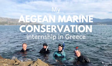 My Aegean Marine Conservation internship in Greece