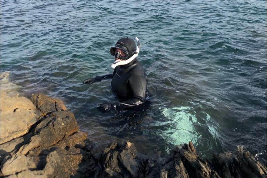 Snorkelling surveys during internship in Greece, Intern Abroad HQ