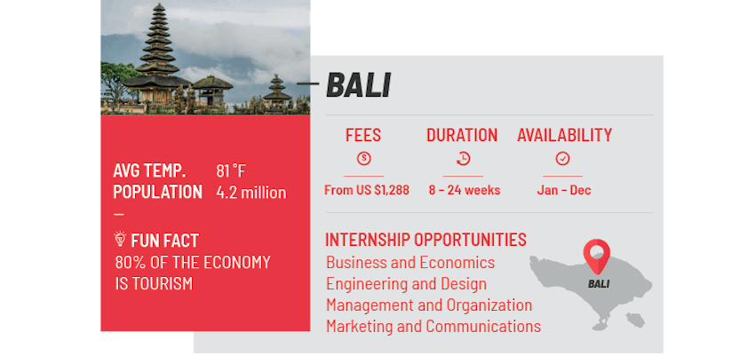 Best internship programs bali