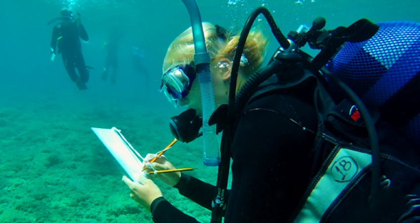 Best Environmental fall internships 2025 & 2026