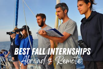 Best Fall 2024 Internships: Abroad & Remote
