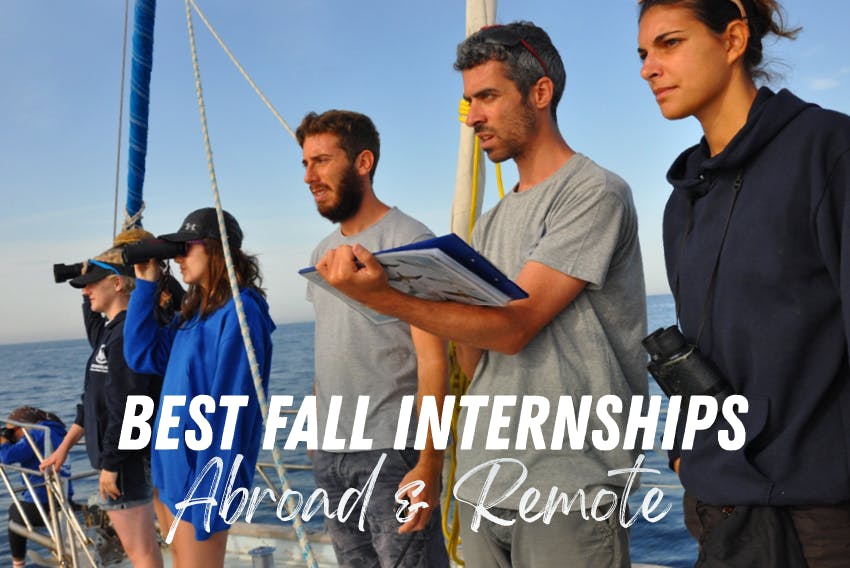 Best 2024 abroad & remote Fall internships