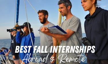 Best Fall 2022 Internships: Abroad & Remote