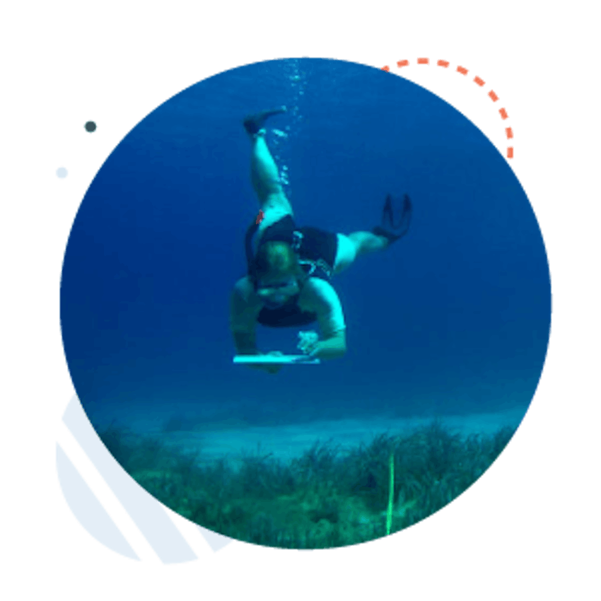 Virtual Marine Science Internship out of Greece with Intern Abroad HQ.