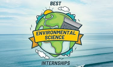 Best Environmental Science Internships and Conservation Programs