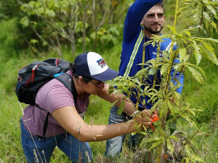 Environmental Conservation Internship in Costa Rica
