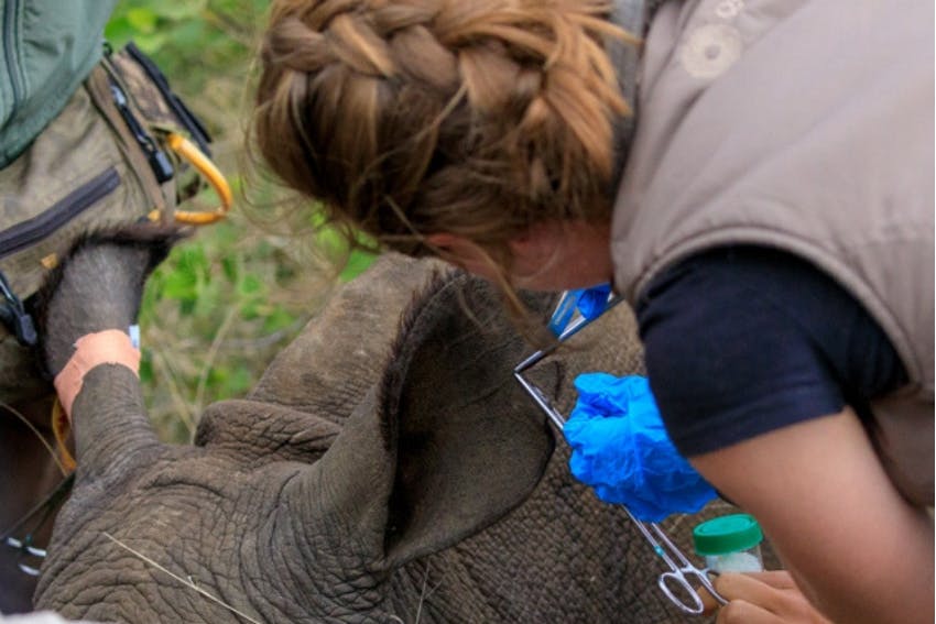 Top international internships for high school graduates and above