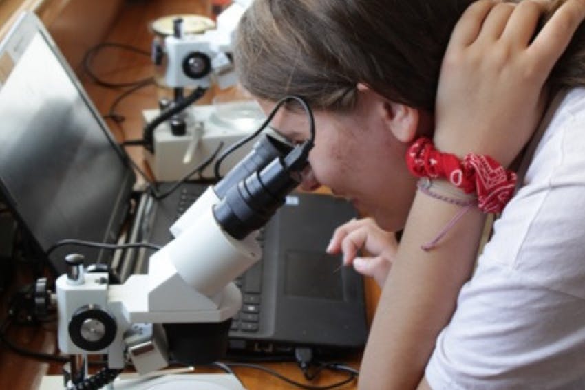 Benefits of taking an international internship