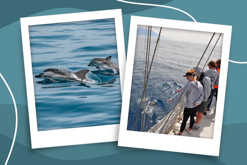 My Remote Marine Science & Conservation Internship out of Greece experience with Intern Abroad HQ.