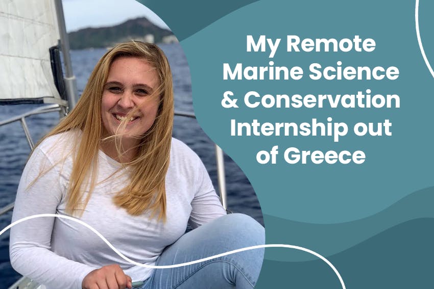 My Remote Marine Science & Conservation Internship out of Greece with Intern Abroad HQ.