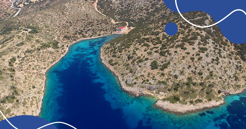 What Christina worked on during her Intern Abroad HQ remote Marine Mammal Conservation Internship during Covid-19 out of Greece.