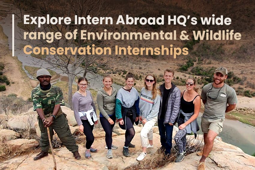 Explore Intern Abroad HQ’s wide range of Environmental & Wildlife Conservation Internships.