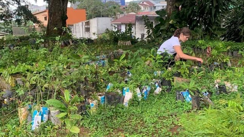 Eva's Environmental Conservation Internship in Costa Rica with Intern Abroad HQ.