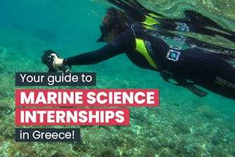 Your guide to Marine Science internships in Greece
