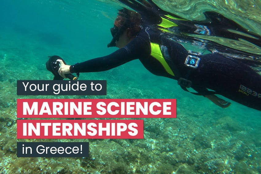 Aegean Marine Science & Island Conservation Internships in Greece, with Intern Abroad HQ.