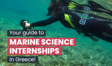 Your guide to Marine Science internships in Greece