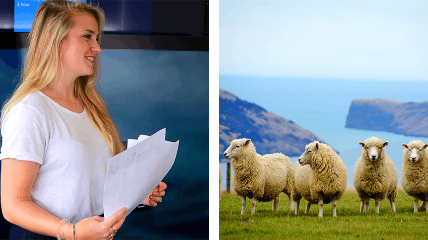 Internships abroad in New Zealand, Intern Abroad HQ