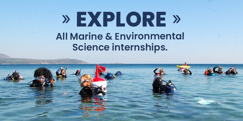 Explore all Intern Abroad HQ's Marine & Environmental Science internships.