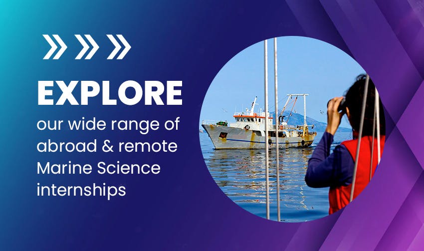 Review abroad and remote marine science internships.