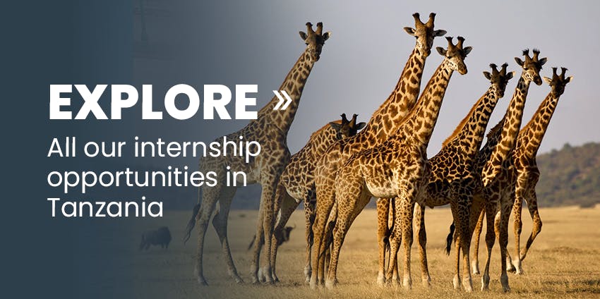 Explore more internships in Tanzania.