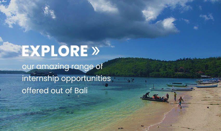 Explore internships abroad in Bali
