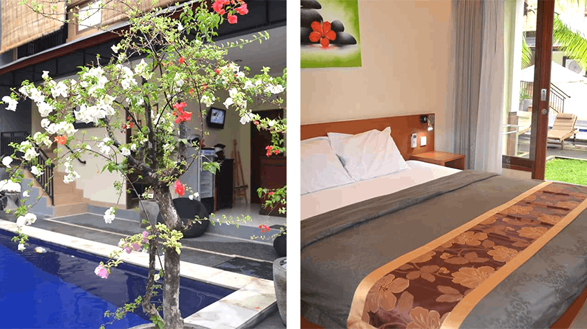 Intern abroad in Bali with Intern Abroad HQ